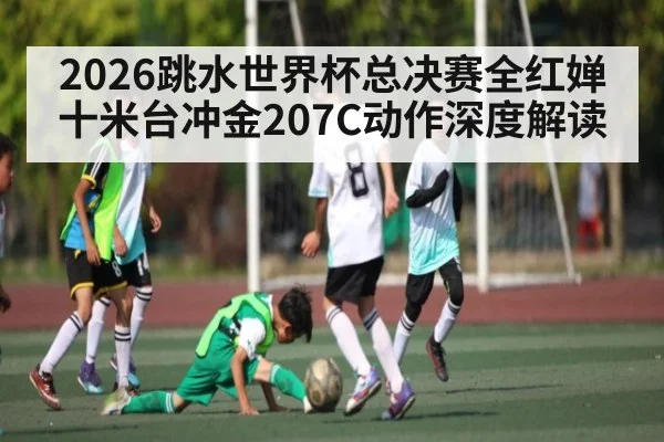 2026跳水世界杯总决赛全红婵十米台冲金207C动作深度解读